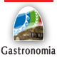 La Gastonomia in Calabria PDF
